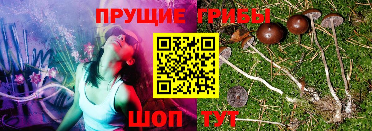 Псилоцибиновые грибы ЛСД  Вход с VPN  Протвино 